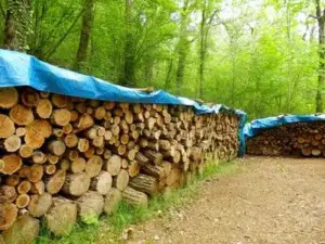 Blaue Abdeckplane für Holz